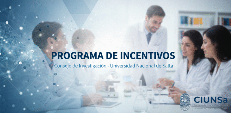 Programa de Incentivos a los Docentes-Investigadores – CIUNSa